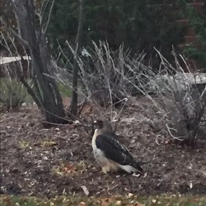 Meet your Posher, Jill